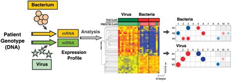 RNA Transcriptional Biosignature Analysis for Identifying Fe ...