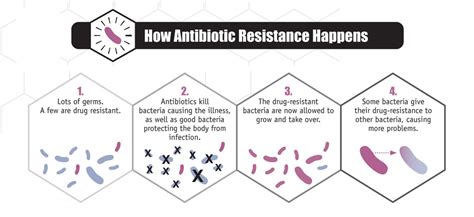 Antibiotic Resistance How It Works Myuvic Life