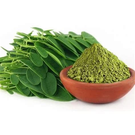 Natural Drumstick Leaves Powder At Kg Moringa Leaf Powder In