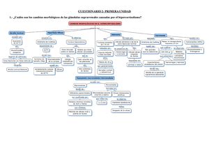 Cuestionario N Describa La Clasificaci N De Los Linfomas