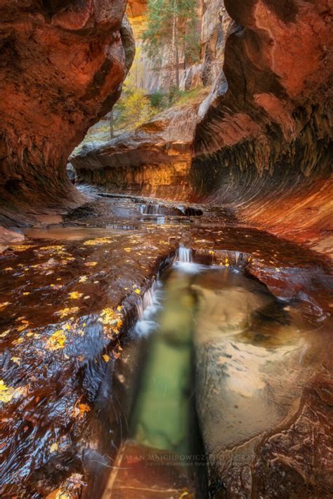 Zion National Park Alan Majchrowicz Photography