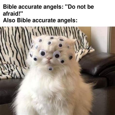 Bible Accurate Angels Do Not Be Afraid Also Bible Accurate Angels