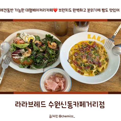 수원브런치카페 라라브레드 수원신동카페거리점 치즈파스타 아보카도오픈샌드위치 수원애견동반카페 네이버 블로그