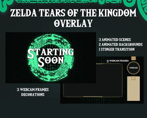 Zelda Tears Of The Kingdom Paquete De Superposici N De Twitch Etsy M Xico