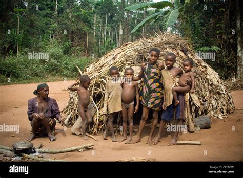 Pygmies In The Forestrepublic Of Congo Stock Photo Alamy