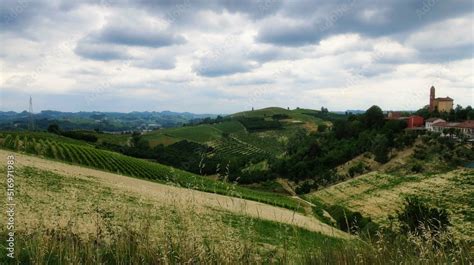 landscapes of vineyards in montà d'alba, in the Piedmontese Langhe. in ...