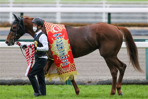 【チャンピオンズc】ソダシ吉田隼「地力の差が出た」レース後ジョッキーコメント 競馬ニュースなら競馬のおはなし