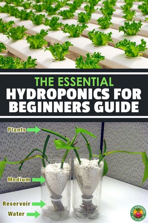 Hydroponics For Beginners The Ultimate Guide Hydroponics Aquaponics Hydroponics Diy