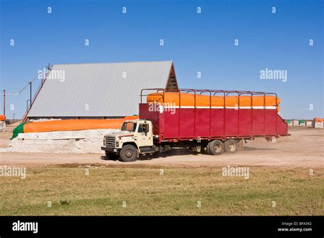 Cotton module with red colored tarp is moved with a module truck to the ...