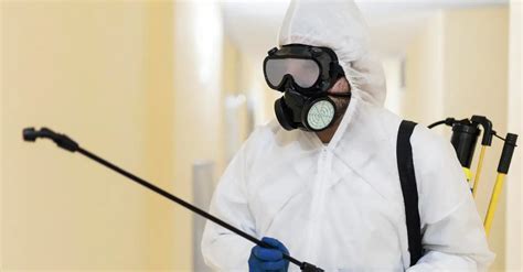 blogs pestico pest control adelaide