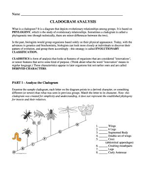 Cladogram Worksheet - Fill Online, Printable, Fillable, Blank | pdfFiller