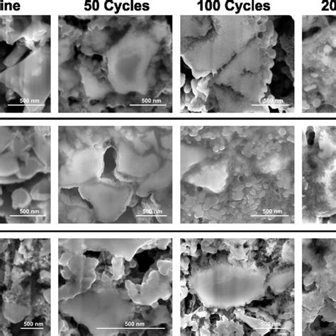 Fib Sem Cross Sections At Particle Level Of Each Electrode Compositions