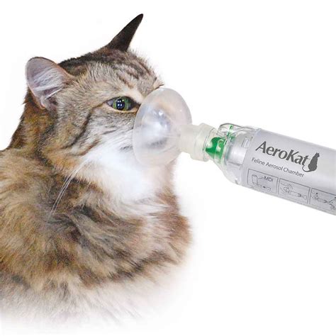 Aerokat Inhalator Voor Katten Praxisdienst