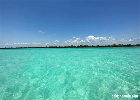 Sian Kaan Como Visitar A Reserva Nacional Pr Xima De Tulum No