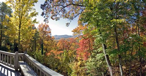 Blue Ridge, GA Fall Foliage | Blue Ridge, GA