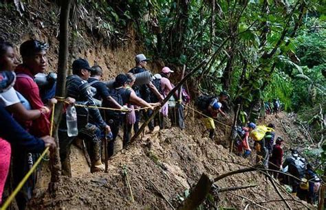 Unicef Avisa De Un N Mero R Cord De Menores Migrantes Por La Selva Del