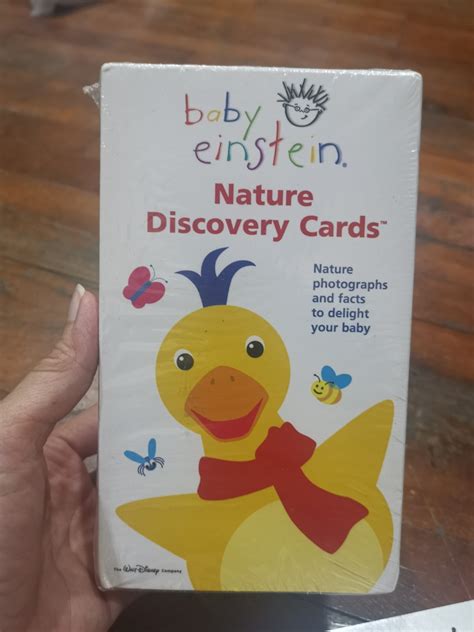 Baby Einstein Nature Discovery Cards Hobbies And Toys Books And Magazines