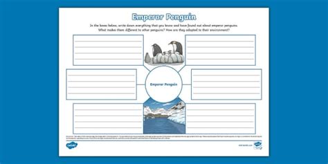 Emperor Penguin Mind Map L Enseignant A Fait Twinkl