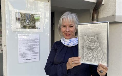 Buchhandlung Ottobeuren Spendenaktion Rettet Kater Ferggie Das Leben