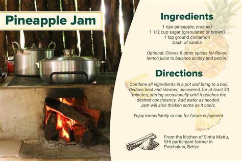 Easy Quick Pineapple Jam — Sustainable Harvest International For People The Planet