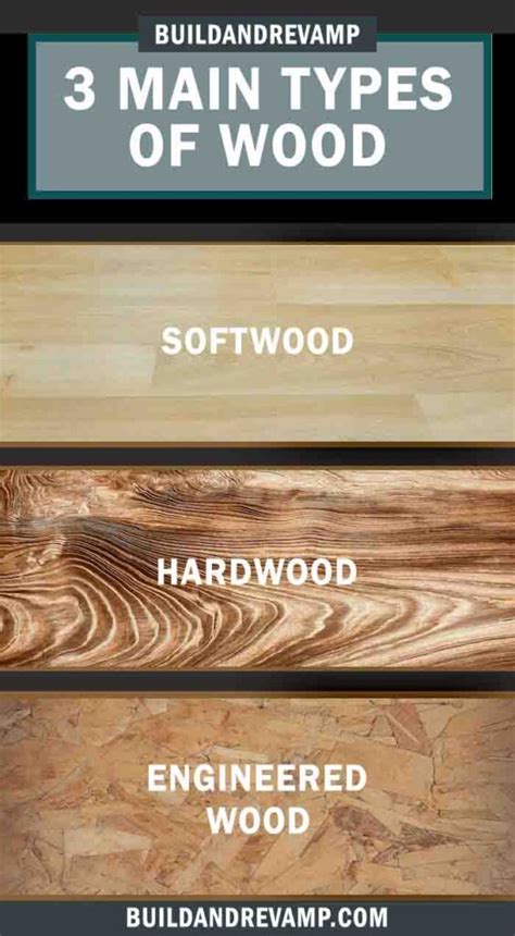 Different Types of Wood & Their Uses - Build and Revamp