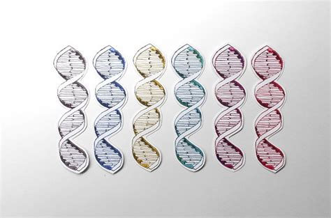 DNA DNA Sticker Science Science Sticker Laptop Sticker Etsy