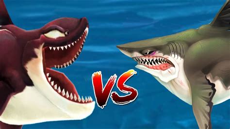 Hungry Shark World Killer Whale Vs Megalodon Unlocking All