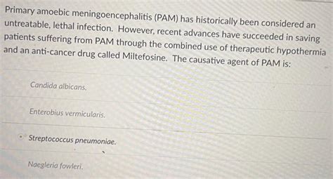 Solved Primary Amoebic Meningoencephalitis Pam Has