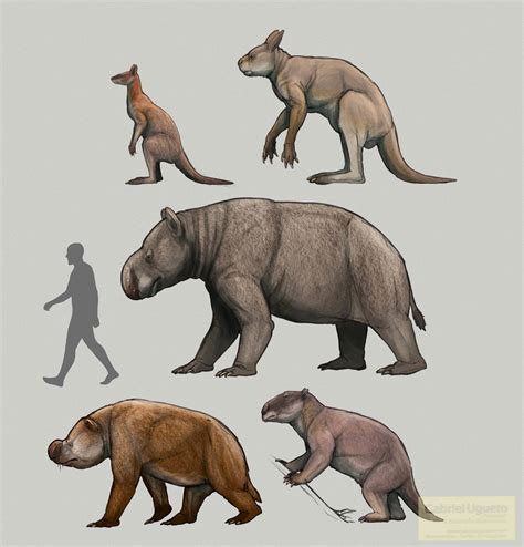 Some marsupial megafauna of Pleistocene Australia by Gabriel Ugueto ...