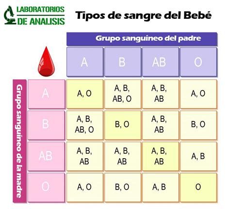 Grupo Sanguineo Y Rh Tipos De Sangre