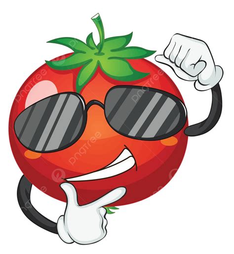 A Tomato Drawing Pose Tomato Vector Drawing Pose Tomato Png And