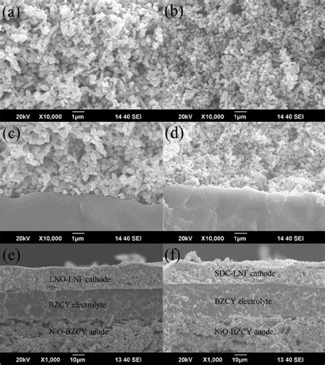 Cross Section Sem Images Of A Lno Lnf And B Sdc Lnf Cathode