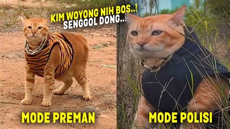 Kucing Kok Mirip Harimau Tingkah Kocak Kim Woyong Kucing Tiktok Yang