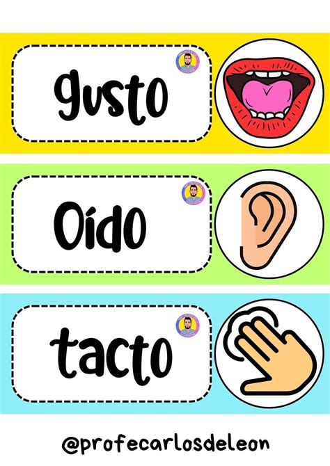 Os 5 Sentidos Para Imprimir - 8