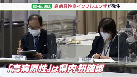 【詳報】静岡県内初「高病原性」鳥インフル確認 浜松市で回収の野鳥の検査から判明 1月4日まで監視体制強化 Youtube