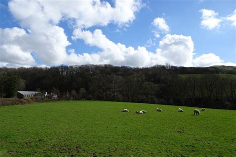 Sheep Near Meal Bank © Ds Pugh Cc By Sa20 Geograph Britain And Ireland