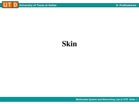 Ppt Skin Powerpoint Presentation Free Download Id 9511307