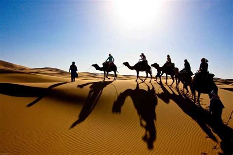 Camel ride in Thar Desert | Travel Rajputana