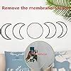 Amazon 5 Pieces Scandinavian Natural Decor Acrylic Wall Decorative