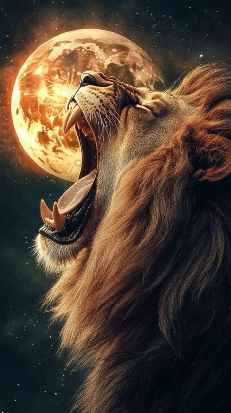 Pin By Rafael Arce On Leo Lions Photos Lion Images Lion Pictures