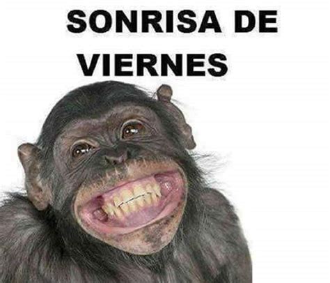 Ide 72 Meme De Es Viernes Terbaru Shop Bbm