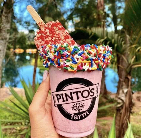 Pinto's Farm in Miami | VISIT FLORIDA