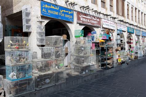 Pets In The Souq Architecture Best Carpet World