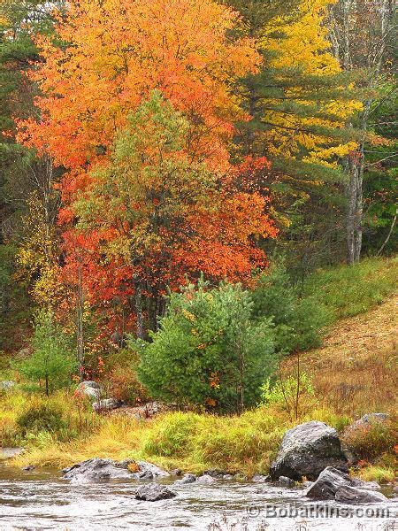 Photo Gallery - Fall Foliage Maine - BobAtkins.com