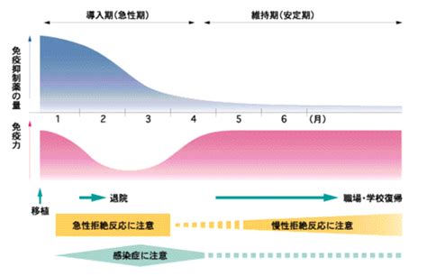 腎臓移植について 板橋中央総合病院 臓器移植センター