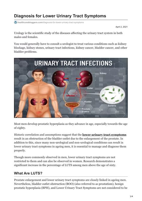 PPT - Diagnosis for Lower Urinary Tract Symptoms PowerPoint ...