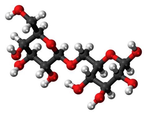 Allolactose,molecule,model,structure,chemistry - free image from ...