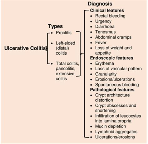 Types Of Ulcerative Colitis And Diagnosis Download Scientific Diagram