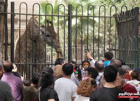 تعرف على موعد بدء تطوير حديقة الحيوان ومدة الإغلاق المصري اليوم