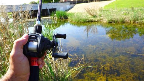 Ultra Clear Creek Fishing For Spawning Bass Youtube